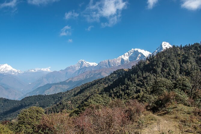 12 Days Trek Tour in Nepal - Day 8: Forest walking and Gurung culture in Ghandruk