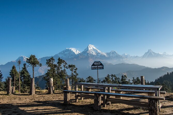 12 Days Trek Tour in Nepal - Days 1 and 2: Kathmandu temples, Thamel, and trip preparation