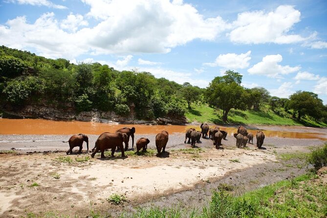 13 Days Adventure in Tanzania - Trekking and Wildlife Safari - Key points to know before booking