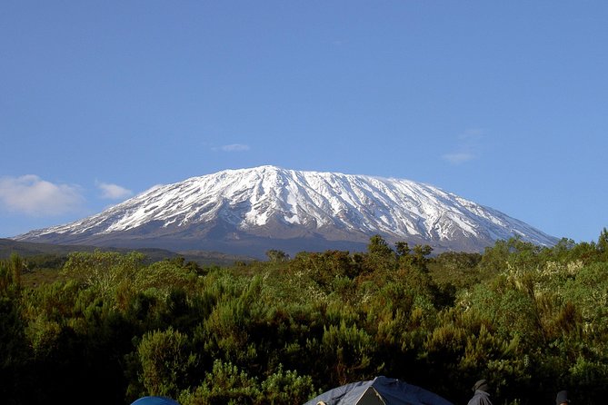 13 Days Adventure in Tanzania - Trekking and Wildlife Safari - Why the seven-day Machame Route matters