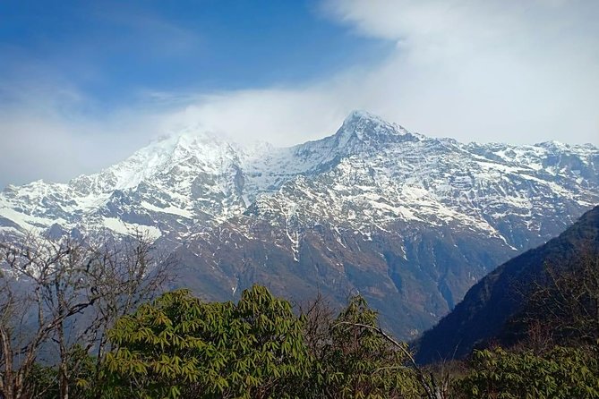 13 Days Adventurous Mardi Himal Trek From Kathmandu - Days 8 and 9: A gentler return through villages