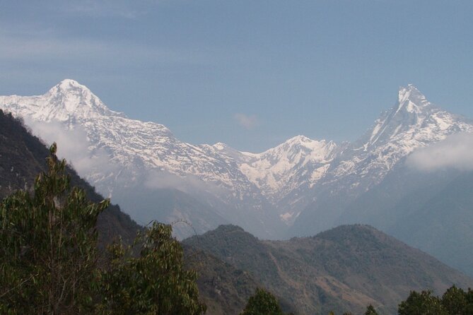 14-Day Annapurna Base Camp Trek from Kathmandu - Day 8: Bamboo forest, suspension bridges, and Dovan