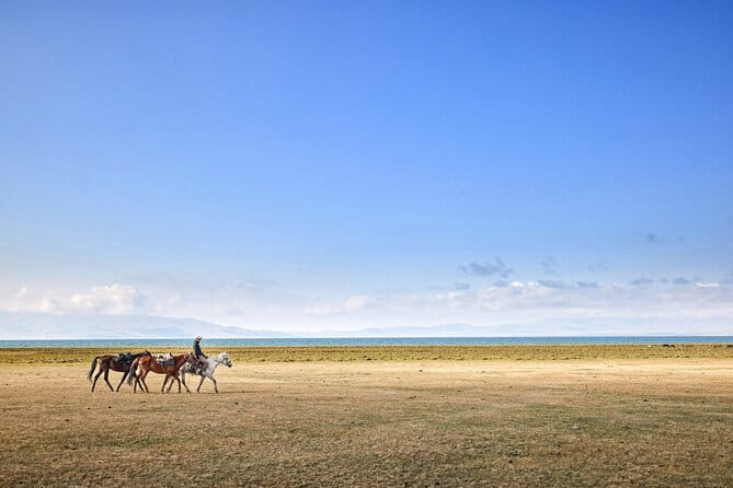 14 Day Epic Kyrgyzstan Trek in Tian Shan and Pamir Alay Mountains - Days 1 to 4: Burana Tower and the Ala Kul challenge