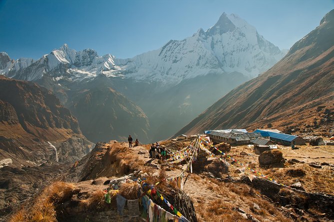 14 days Annapurna Base Camp Trek - Ulleri to Ghorepani brings forests and mountain views