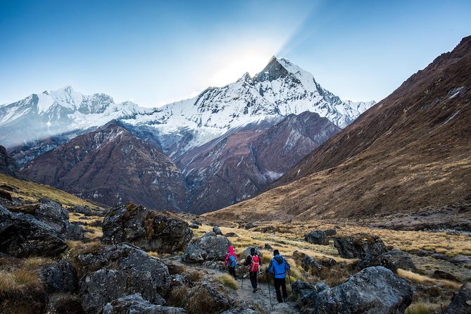 14 days Annapurna Base Camp Trek - Poon Hill sunrise is worth the early alarm