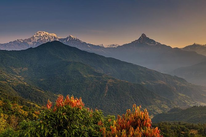 14 days Annapurna Base Camp Trek - Chhomrong tests your knees and rewards your eyes