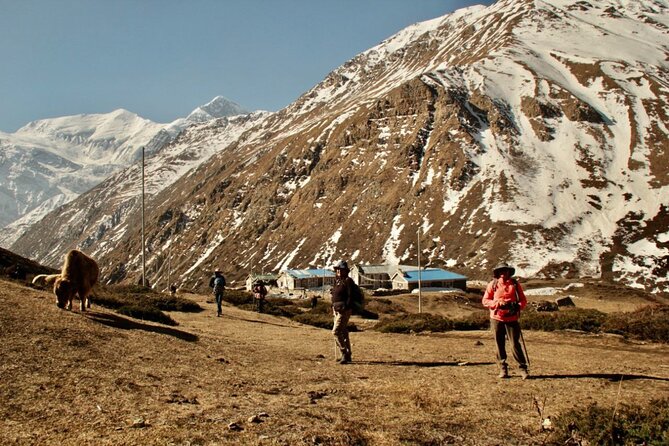 14 Days Annapurna Circuit Trek - Chame to Pisang brings the first walking day