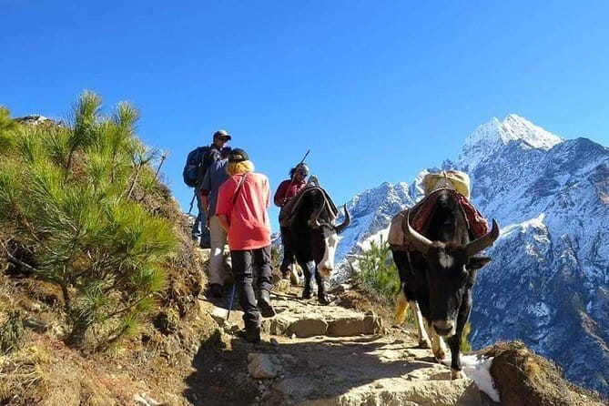 14 Days Everest Base Camp Trekking - Days 8 and 9: Lobuche, Gorakshep, and Everest Base Camp