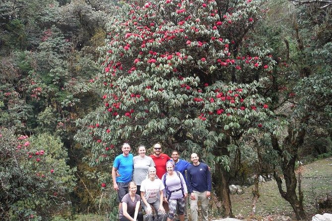 14 Days Luxury Annapurna Base Camp Trek - Day 5: Chhomrong and the first big mountain views