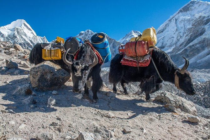 14 Days Private Tour Everest Base Camp Trek - Namche Bazaar, the first acclimatization pause