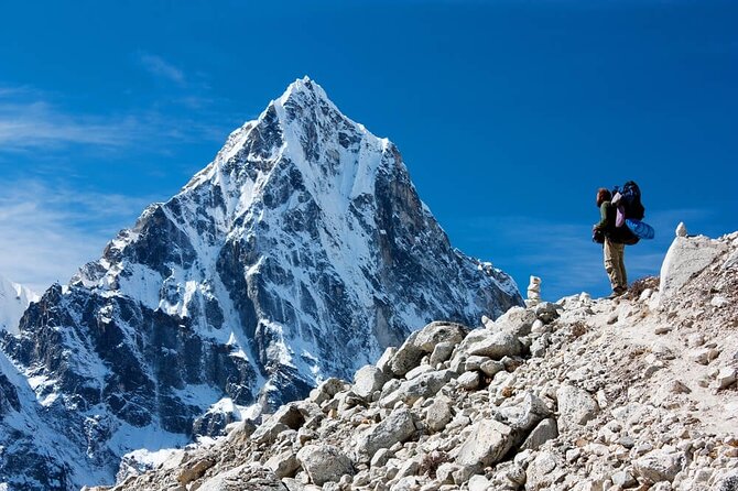 14 Days Private Tour Everest Base Camp Trek - Rhododendron forest and Tengboche Monastery
