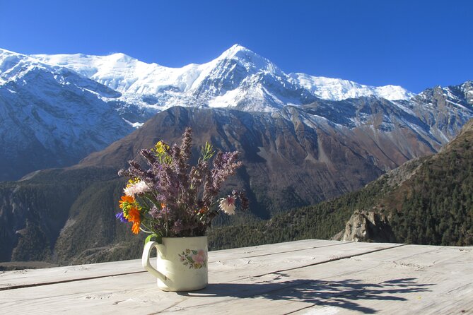 15-Day Private Annapurna Circuit Trek from Kathmandu - Chame and Manang: the circuit begins to feel alpine