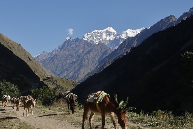 15 Days Manaslu Circuit Trek - Machhakhola to Jagat, hot springs and suspension bridges