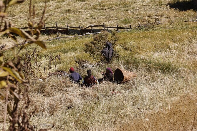 15 Days Manaslu Circuit Trek - Lho, Ribung Gompa and Shyala
