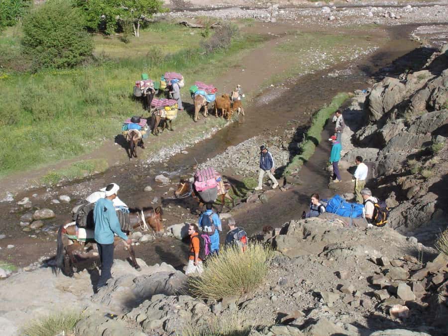 2-Day Atlas Mountains Morocco Trek with Village Stay - Key points before you book