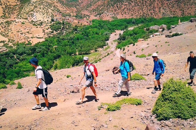 2-Day Guided Trek of the Atlas Mountains and Berber Villages - Day One: Tizi Mzik Pass and the 100-Meter Waterfalls