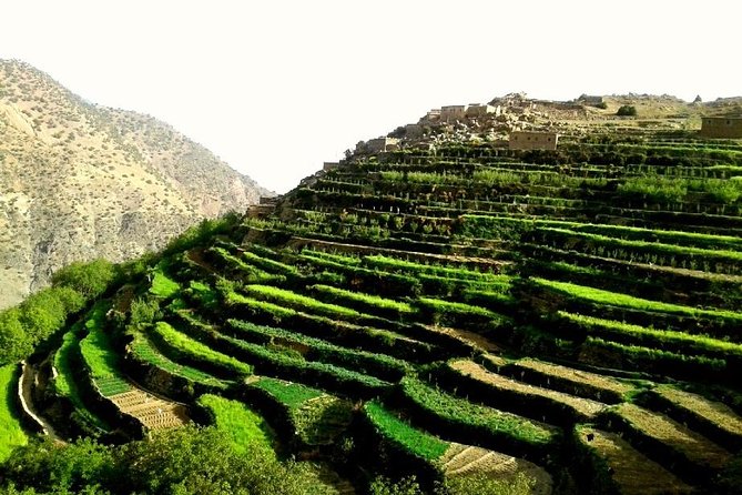 2-Day Guided Trek of the Atlas Mountains and Berber Villages - Day Two: Villages, Forests, Rivers, and the Return to Marrakech