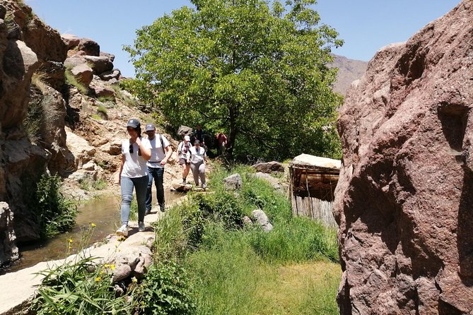 2-Day Guided Trek of the Atlas Mountains and Berber Villages - Tizi Oussem Guesthouse: Simple, Local, and Useful