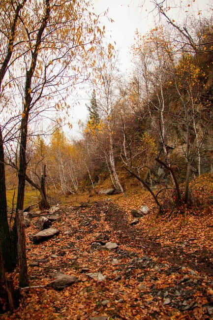 2 Day Horse trekking in Terelj national park - Turtle Rock gives the first day a clear landmark