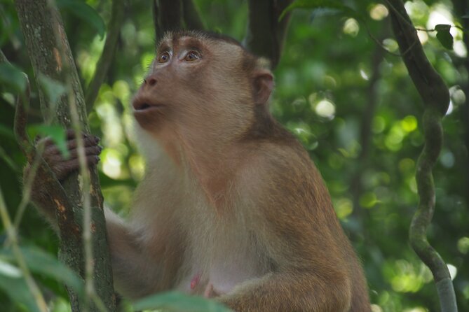2-Day Jungle Trekking & Rafting in North Sumatra - Meals, gear, and the real value of $157.05