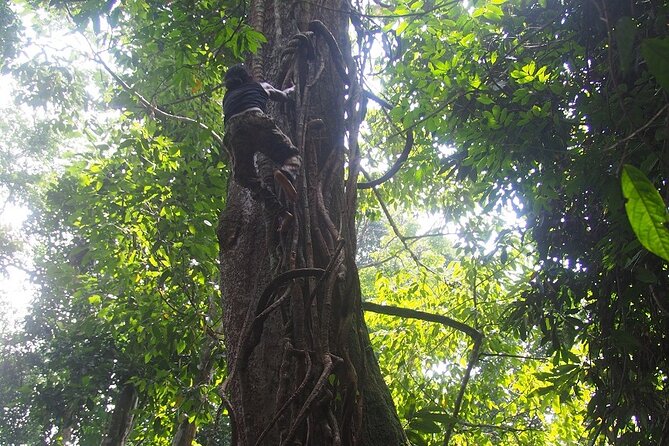 2-Day Jungle Trekking & Rafting in North Sumatra - What to pack for two days in the forest