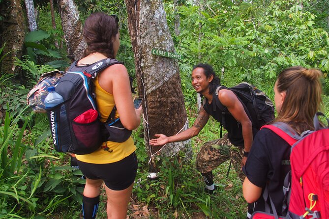 2-Day Jungle Trekking & Rafting in North Sumatra - Day one: from the river path to a jungle camp