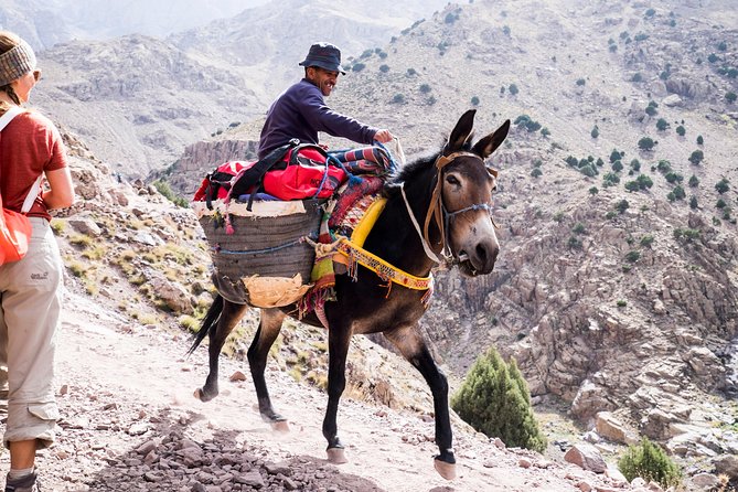 2 day mount toubkal trek ( private trek ) - What You Are Signing Up For