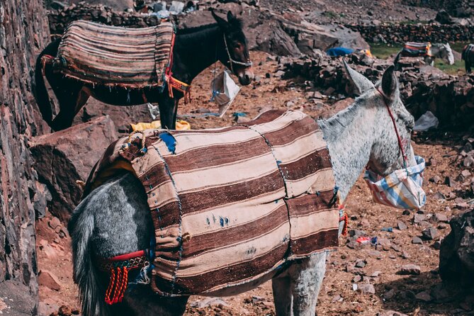 2 day mount toubkal trek ( private trek ) - Food, Water, Mules, and Mountain Staff