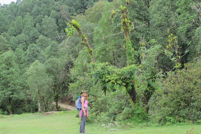 2-Day Private Trekking Tour to Australian Camp & Dhampus - Australian Camp at 2,065 meters