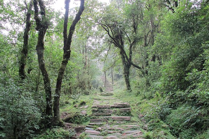 2-Day Private Trekking Tour to Australian Camp & Dhampus - Who will enjoy this trek most