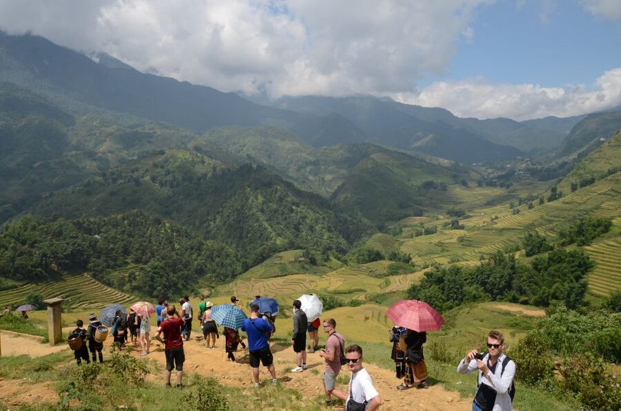 2-Day Sa Pa Ethnic Homestay Tour & Trek with Limousine Bus - Value, comfort, and who should book