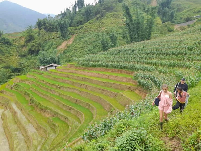 2-Day Sa Pa Ethnic Homestay Tour & Trek with Limousine Bus - Day two: bamboo forest, Giang Ta Chai, and the return