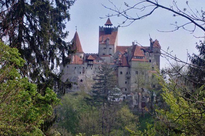 2-Day Transylvania Culture Trek from Brasov - Small Group Tour - What makes this two-day trip special