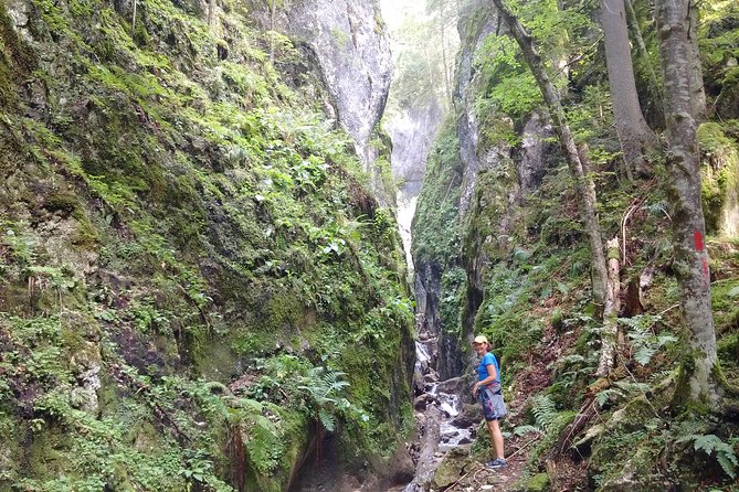 2-Day Transylvania Culture Trek from Brasov - Small Group Tour - Food, guiding, and the human side of the tour