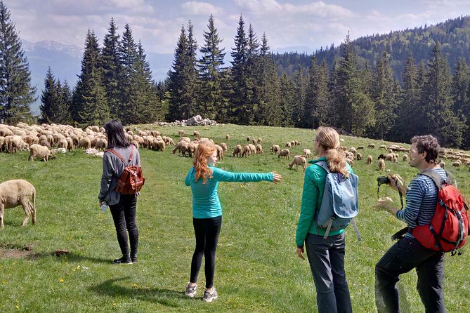 2-Day Transylvania Culture Trek from Brasov - Small Group Tour - A long day in Piatra Craiului National Park
