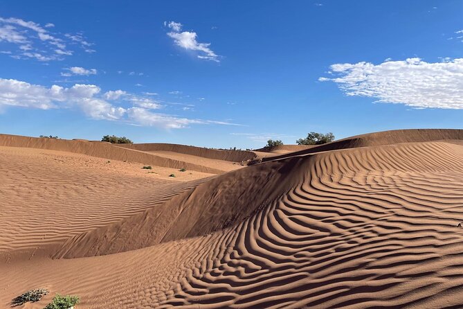 2-day trek - In the footsteps of beetles - Key points at a glance