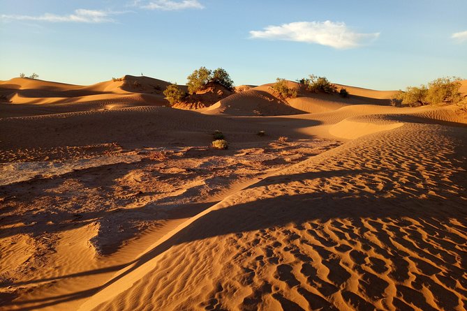 2-day trek - In the footsteps of beetles - Day two: Mazwrya and an old caravan meeting place