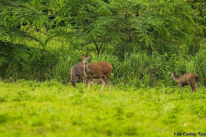 2-Day Trekking & Biking Nam Cat Tien National Park from HCM City - Meals, lodging, and what $319 buys you