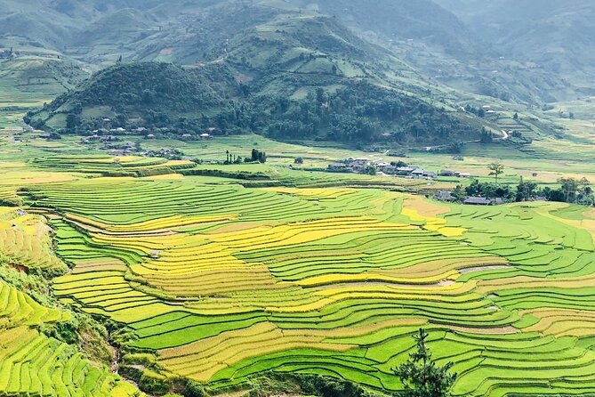 2-Day Trekking in Sa Pa from Ha Noi by sleeping bus - Day two: bamboo forest, Giang Ta Chai, and Su Pan