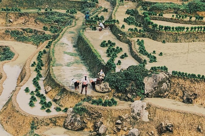 2-Day Trekking in Sa Pa from Ha Noi by sleeping bus - What the $89 price includes