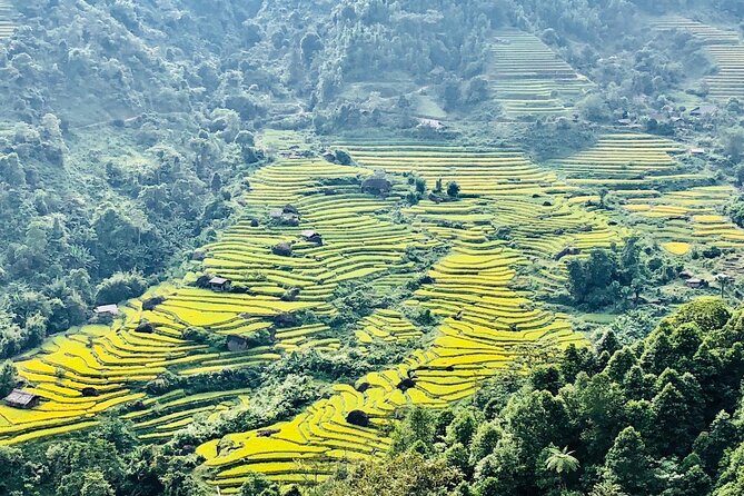 2-Day Trekking in Sa Pa from Ha Noi by sleeping bus - Who should book this trek?