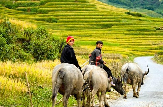 2 Days 1 Night Sapa Trekking Group Tour at Homestay - Ta Van homestay: the night in the valley