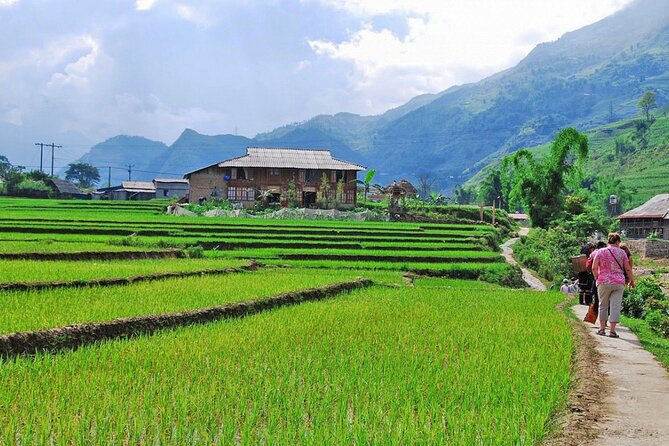 2 Days 1 Night Sapa Trekking Group Tour at Homestay - What the $126 price really covers