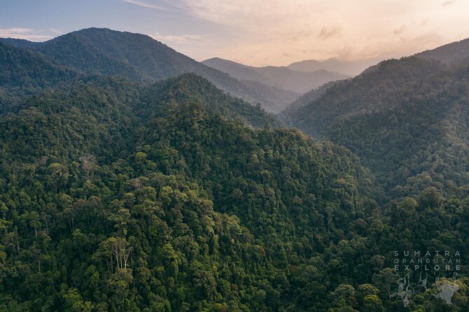 2 Days and 1 Night Ethical Jungle Trek - Why this two-day trek is worth considering
