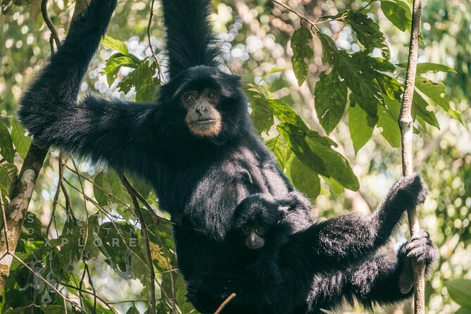 2 Days and 1 Night Ethical Jungle Trek - What to pack and how to prepare