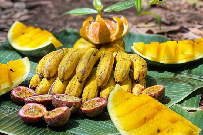 2 Days and 1 Night Ethical Jungle Trek - Starting at 9:00 am near Bukit Lawang