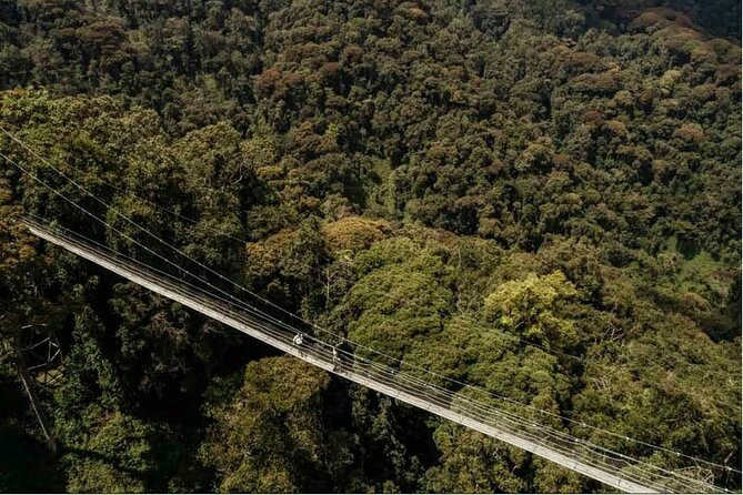 2 Days Chimpanzee trekking & Canopy Walk in Nyungwe National Park - The six-hour journey from Kigali to Nyungwe
