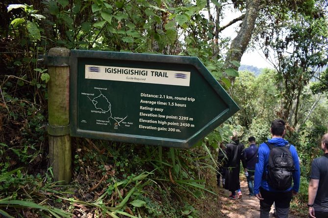 2 Days Chimpanzees trekking Tour and Canopy walk Adventure - Day One: Nyanza, Butare, and the Road to the Forest