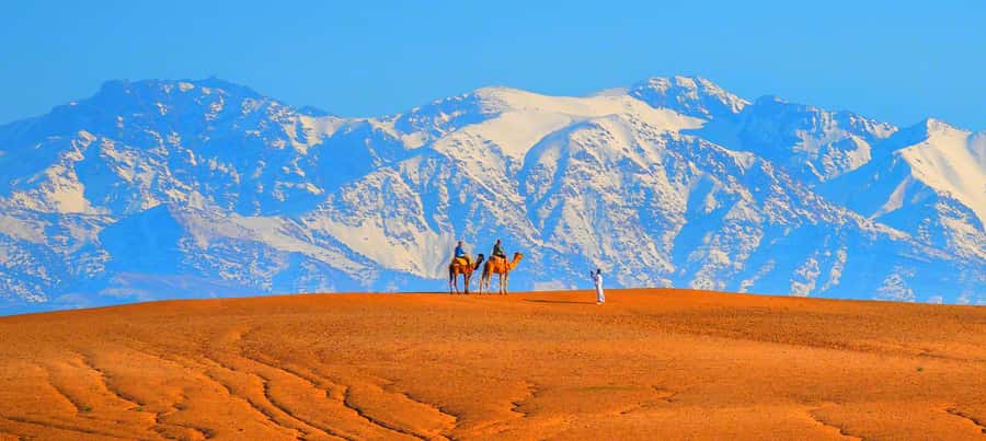 2 Days Desert Agafay and Atlas Mountains Trek From Marrakech - Lunch in the desert camp