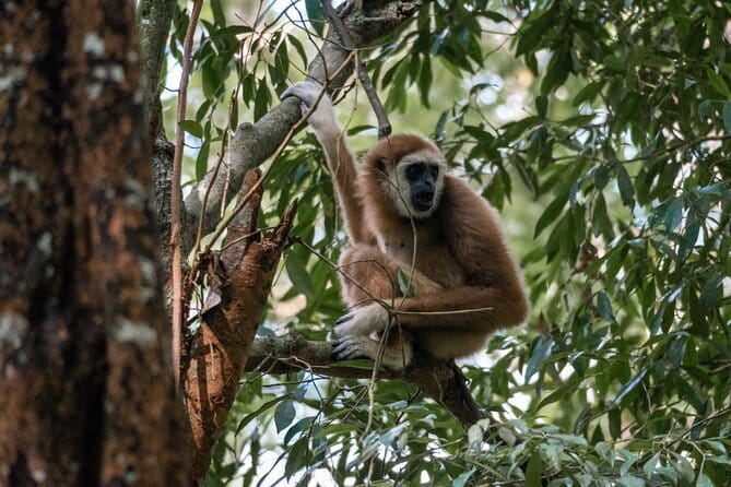 2 Days Ethical Jungle Trek in Sumatra - Walking through Gunung Leuser National Park